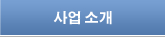 사업 소개