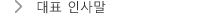 대표 인사말